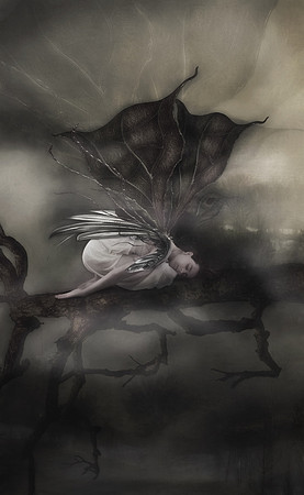 METAMORPHOSIS